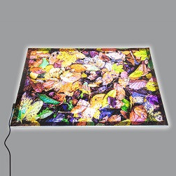 A2 Light Panel + Autumn Leaves Play Mat